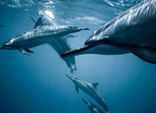 开云登录网址入口-U23男足亚洲杯呈现新格局 中国队迎来更大考验